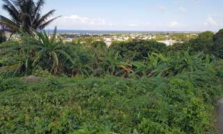 Terrain   m² à vendre à Sainte-Suzanne (97441)