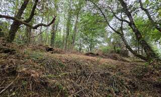 Maison 1 Pièce 33 m² à vendre à Bazaiges (36270)