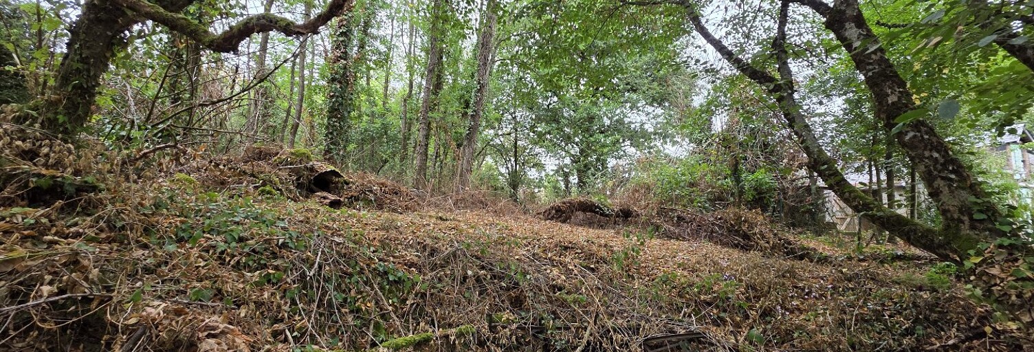 Maison 1 Pièce 33 m² à vendre à Bazaiges (36270)