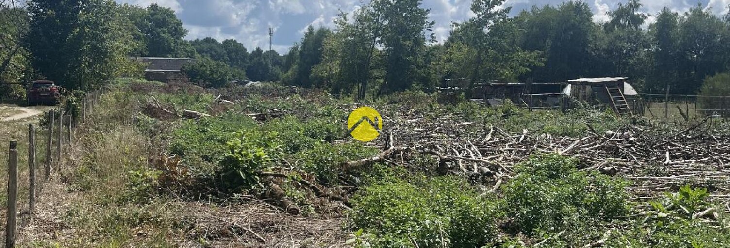 Maison 1 Pièce  m² à vendre à Lamotte-Beuvron (41600)