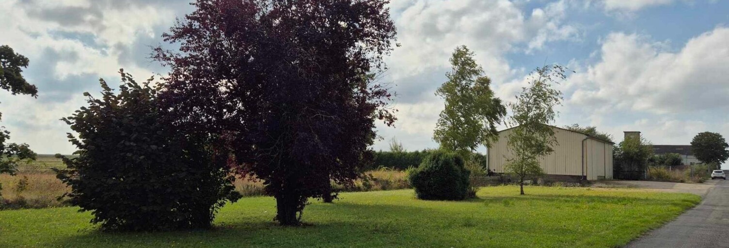 Terrain  1259 m² à vendre à Courcelles-le-Roi (45300)