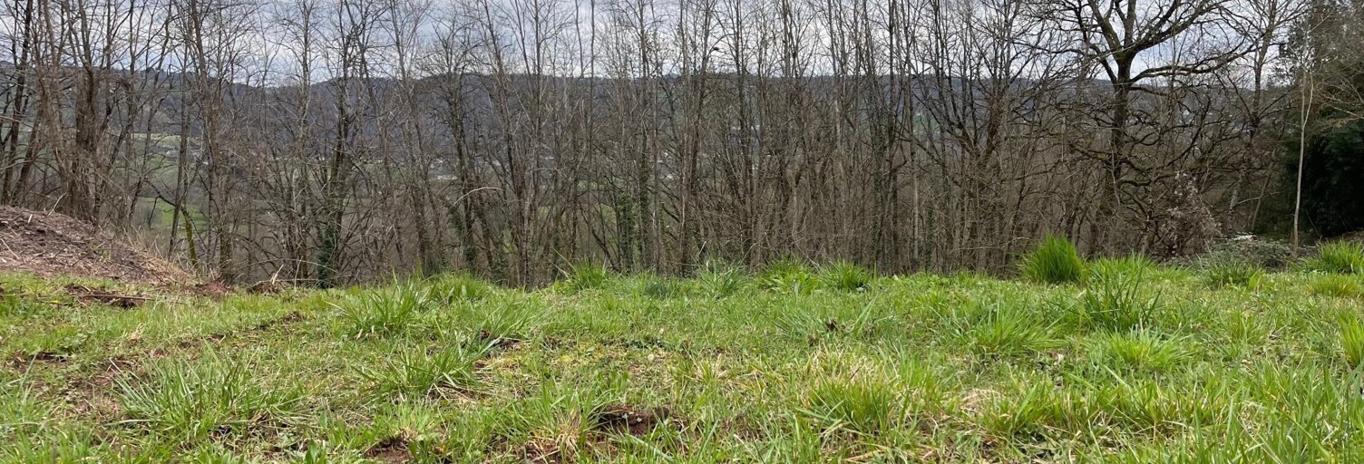 Terrain  2058 m² à vendre à Allassac (19240)