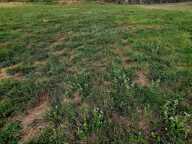 Terrain - 1870m² — photo 2