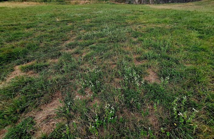 Terrain - 1870m² — photo 2