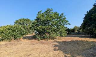 Terrain  1073 m² à vendre à Mauzé-sur-le-Mignon (79210)