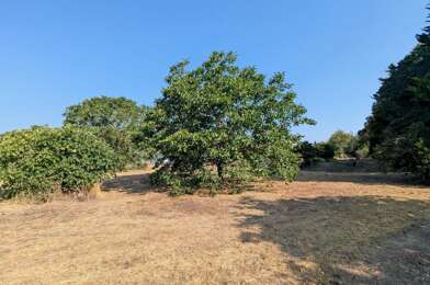 Terrain  30000 €