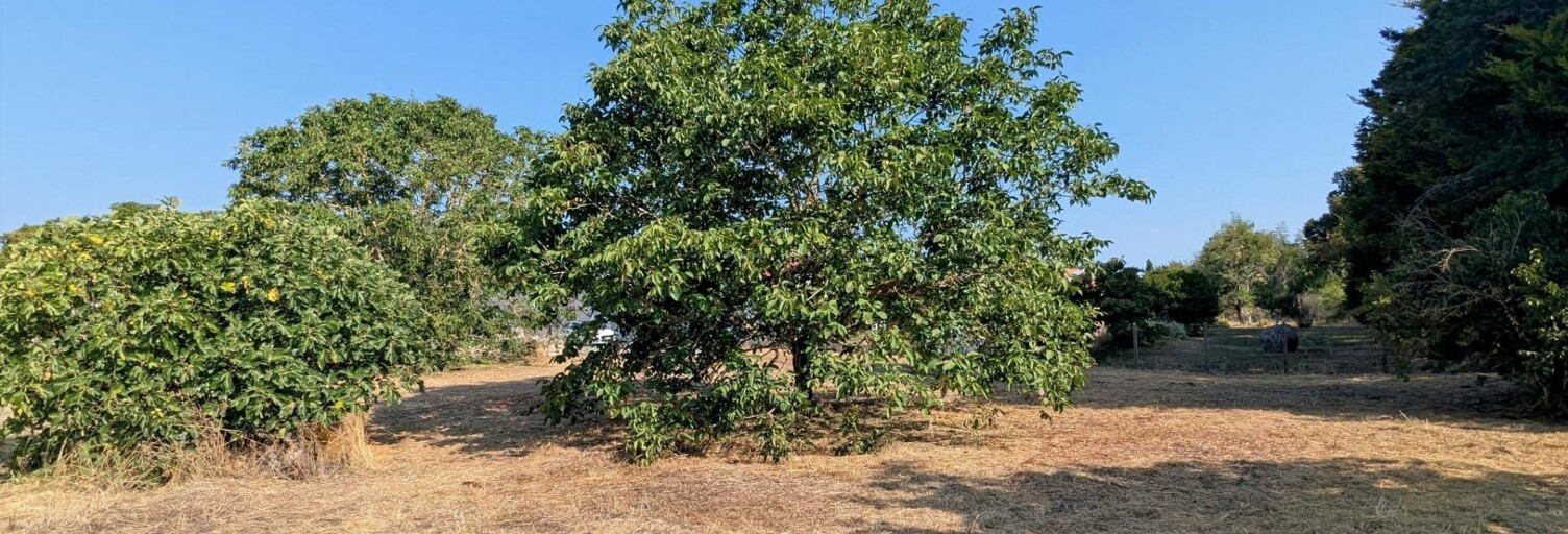 Terrain  1073 m² à vendre à Mauzé-sur-le-Mignon (79210)