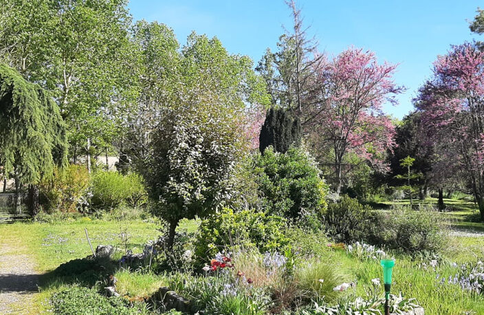 Maison avec 2 chambres, dépendances et seconde maison à réno — photo 2