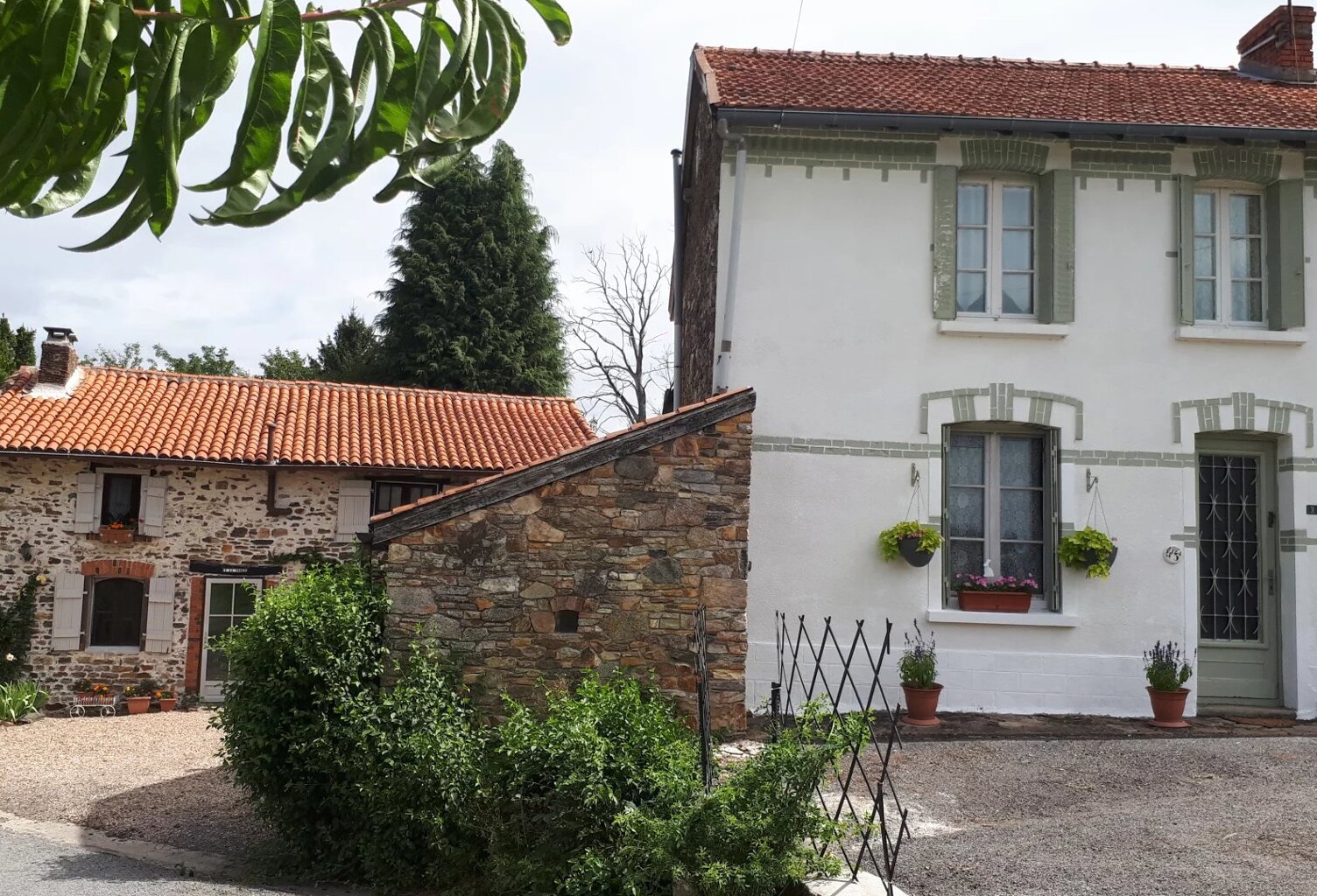 Maison avec gîte à vendre - Bussière-Poitevine - 87 — photo 1