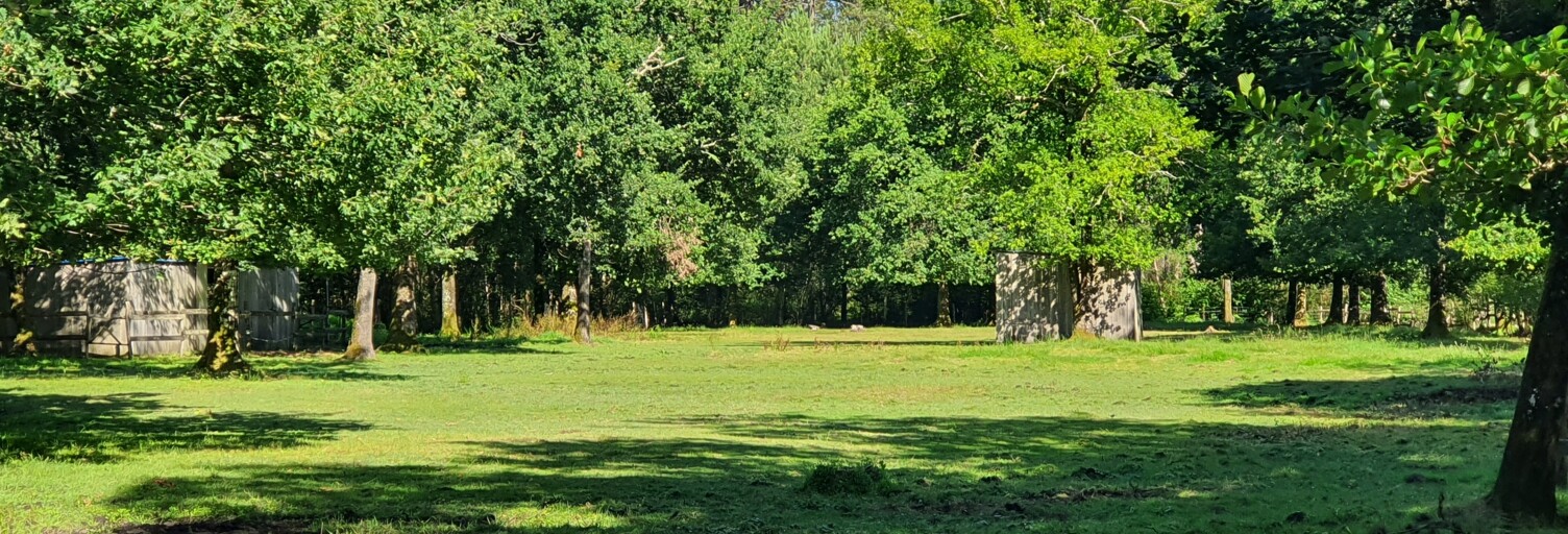 Terrain  18671 m² à vendre à Salles (33770)