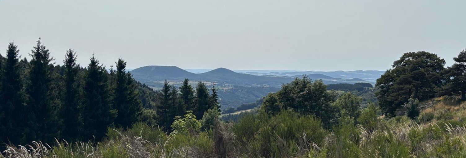 Maison 13 Pièces 198 m² à vendre à Moudeyres (43150)