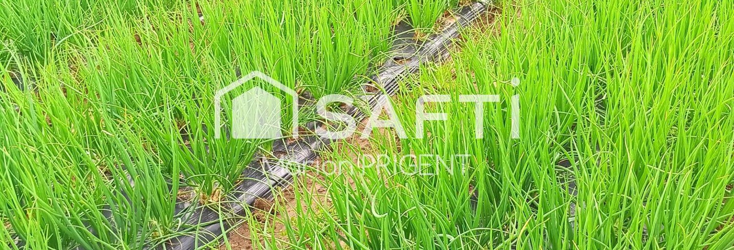 Terrain  1379 m² à vendre à Plounévez-Lochrist (29430)