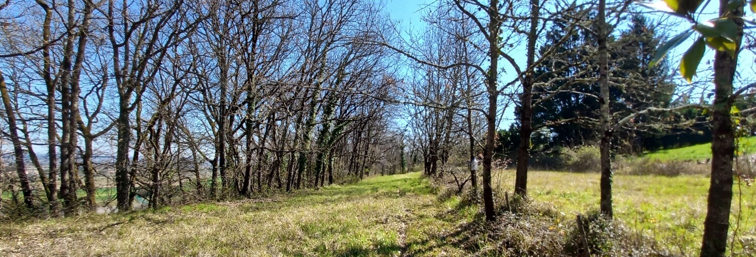 Maison 5 Pièces 106 m² à vendre à Sainte-Colombe-en-Bruilhois (47310)