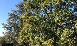 Maison 5 Pièces 102 m² à vendre à Prissac (36370)