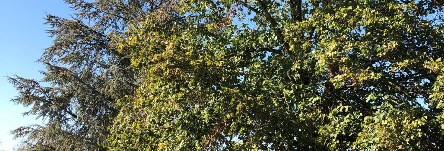 Maison 5 Pièces 102 m² à vendre à Prissac (36370)