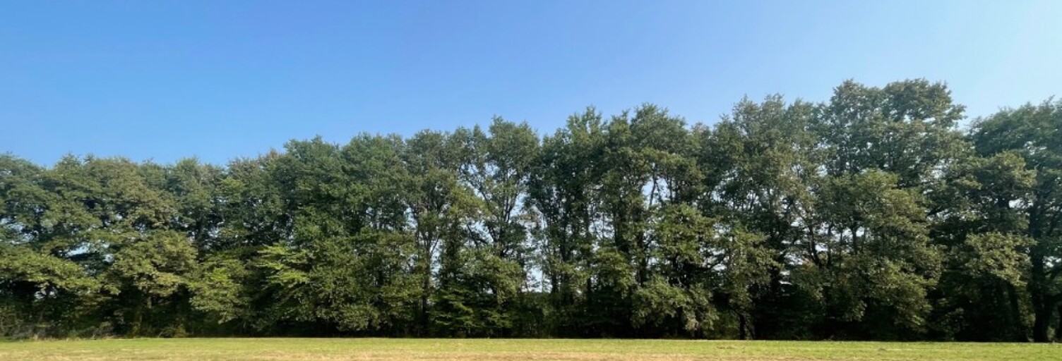 Terrain  2500 m² à vendre à Vielle-Tursan (40320)