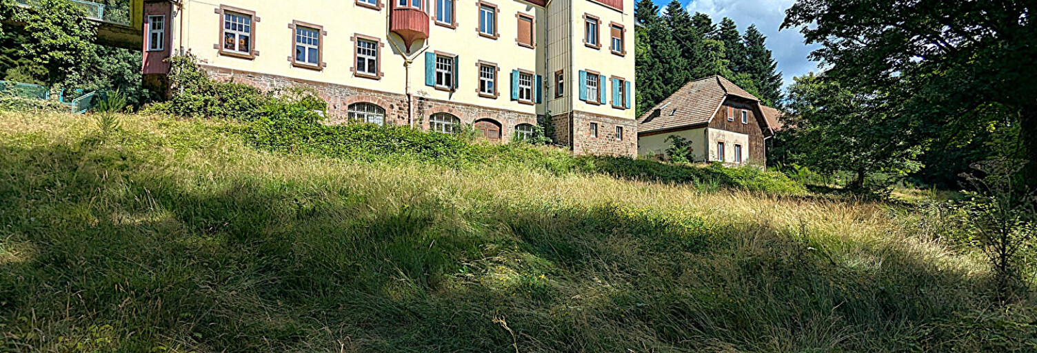 Maison 19 Pièces 1000 m² à vendre à La Broque (67130)