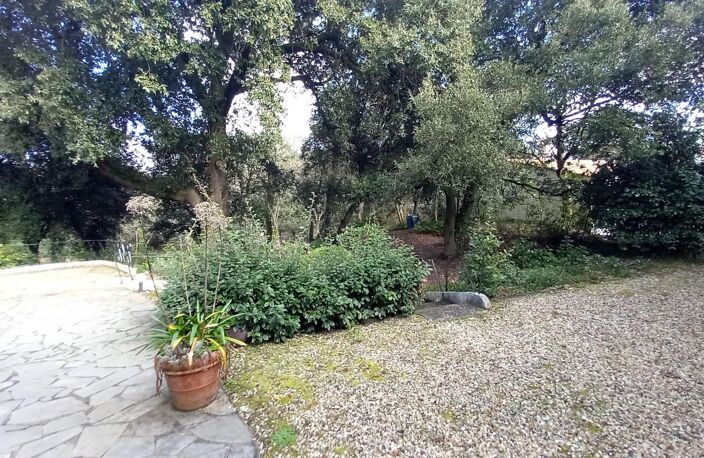 Maison À Vendre — photo 3
