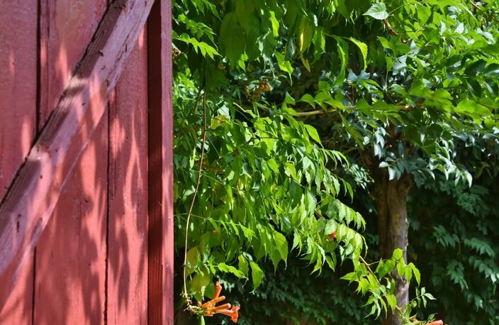 Charmante maison de village avec terrasse et jardin — photo 5