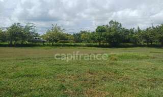 Terrain  1000 m² à vendre à Petit-Canal (97131)