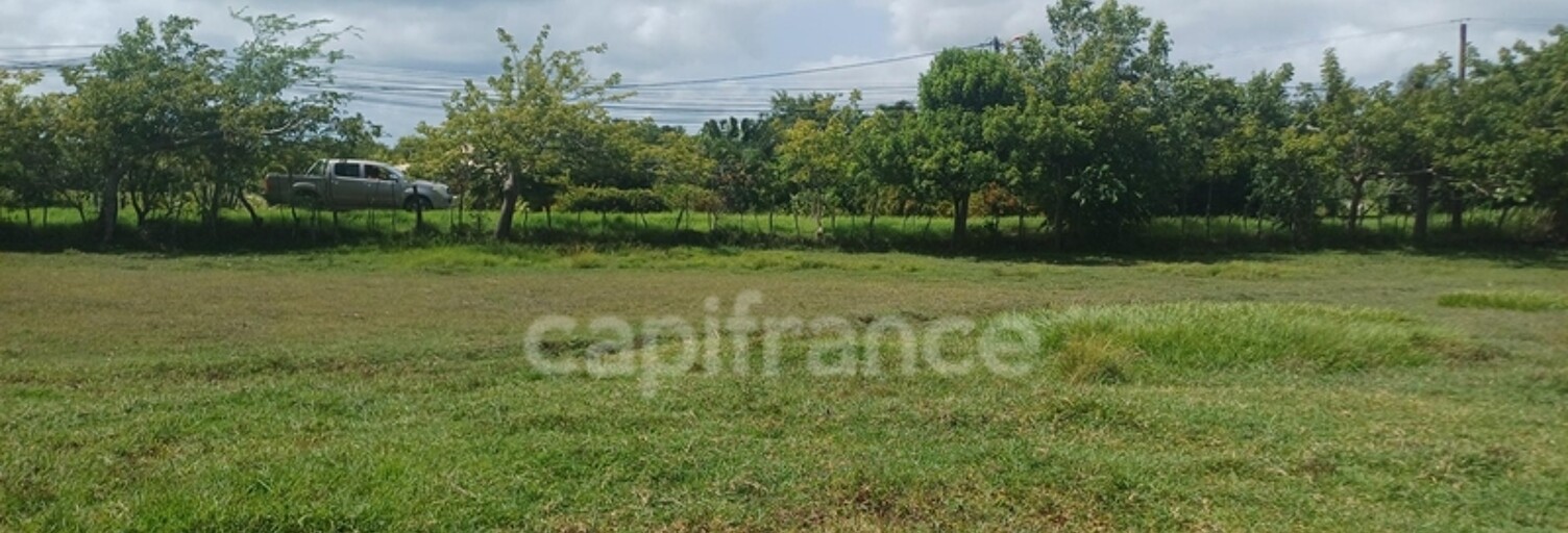 Terrain  1000 m² à vendre à Petit-Canal (97131)