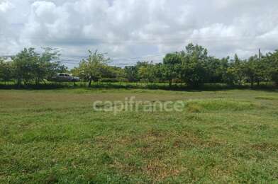 Terrain  168175 €