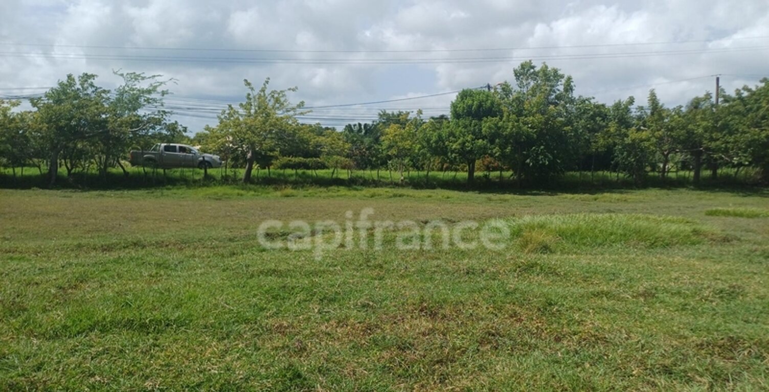 Terrain à vendre  PETIT CANAL (971) — photo 1