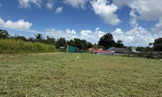 Terrain  646 m² à vendre à Baie-Mahault (97122)