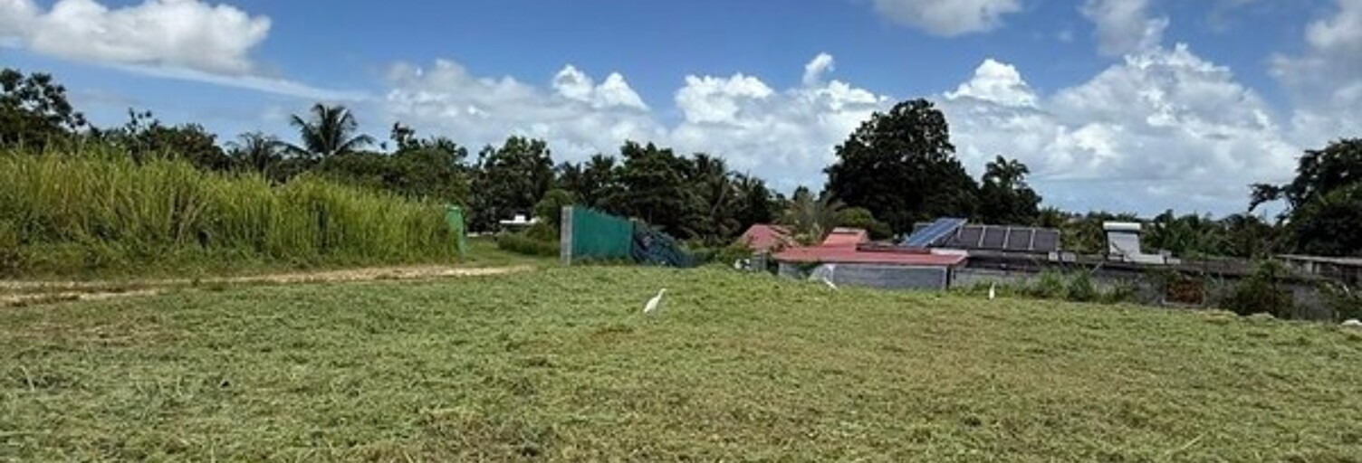 Terrain  646 m² à vendre à Baie-Mahault (97122)