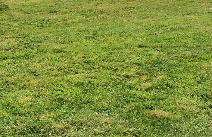 Dpt Seine Maritime (76), à vendre LE HOULME terrain - Terrain de 635,00 m² — photo 4