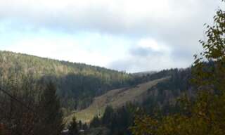 Maison 7 Pièces 160 m² à vendre à La Bresse (88250)