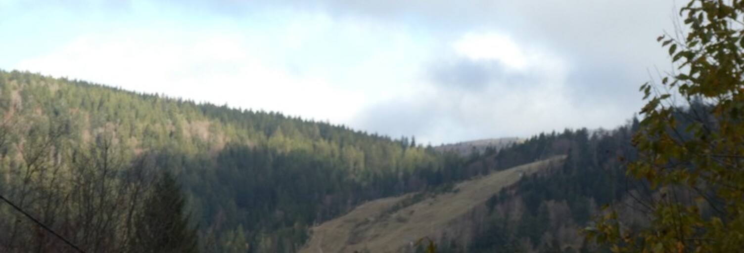 Maison 7 Pièces 160 m² à vendre à La Bresse (88250)