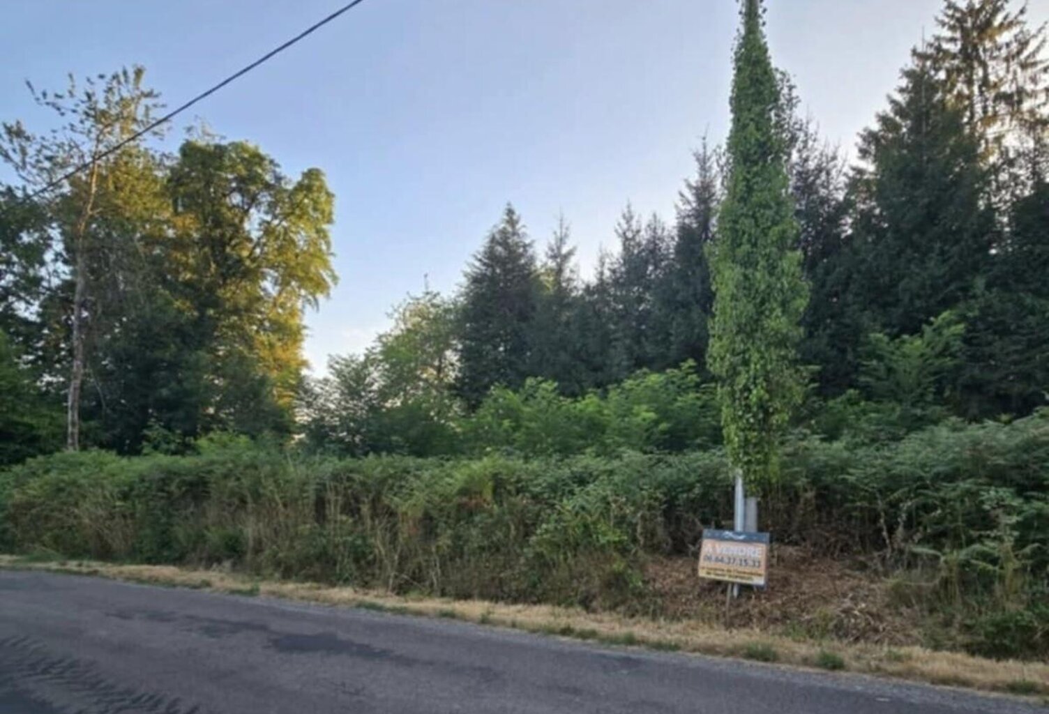 Terrain — photo 1