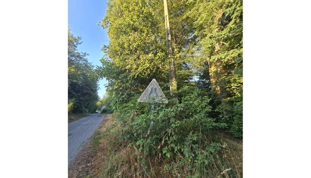 Terrain  à vendre Saint-Just-le-Martel 87590