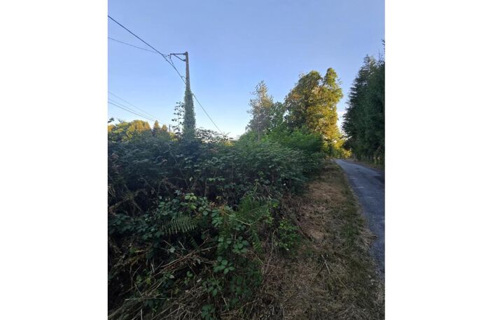 Terrain — photo 3