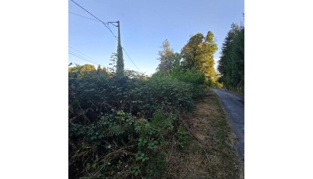 Terrain  à vendre Saint-Just-le-Martel 87590