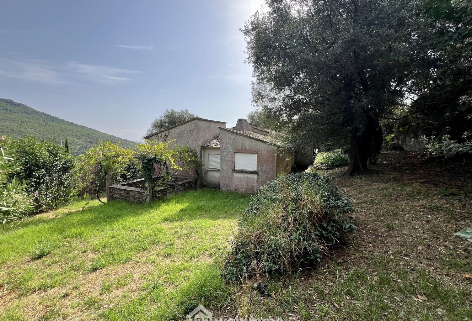 Maison - 90m² - Brando — photo 1