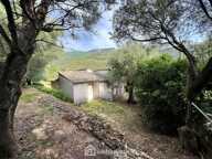 Maison - 90m² - Brando — photo 2