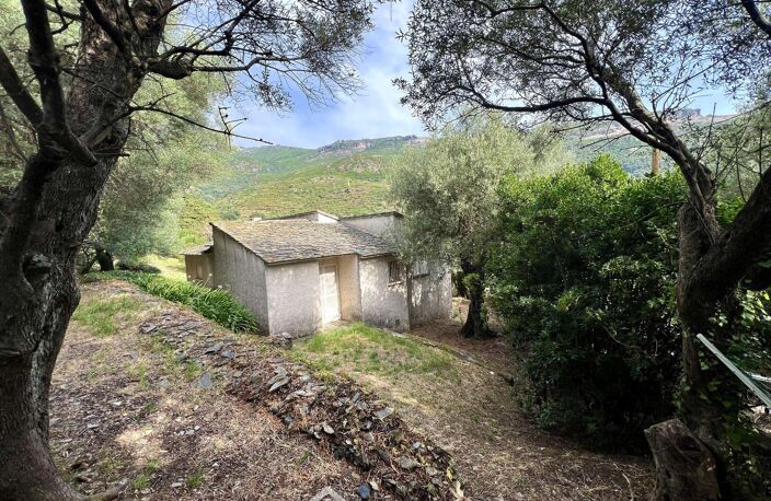 Maison - 90m² - Brando — photo 2