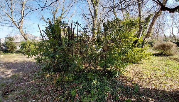Villa / Maison 3 pièces  à vendre Saint-Georges-d'Oléron 17190