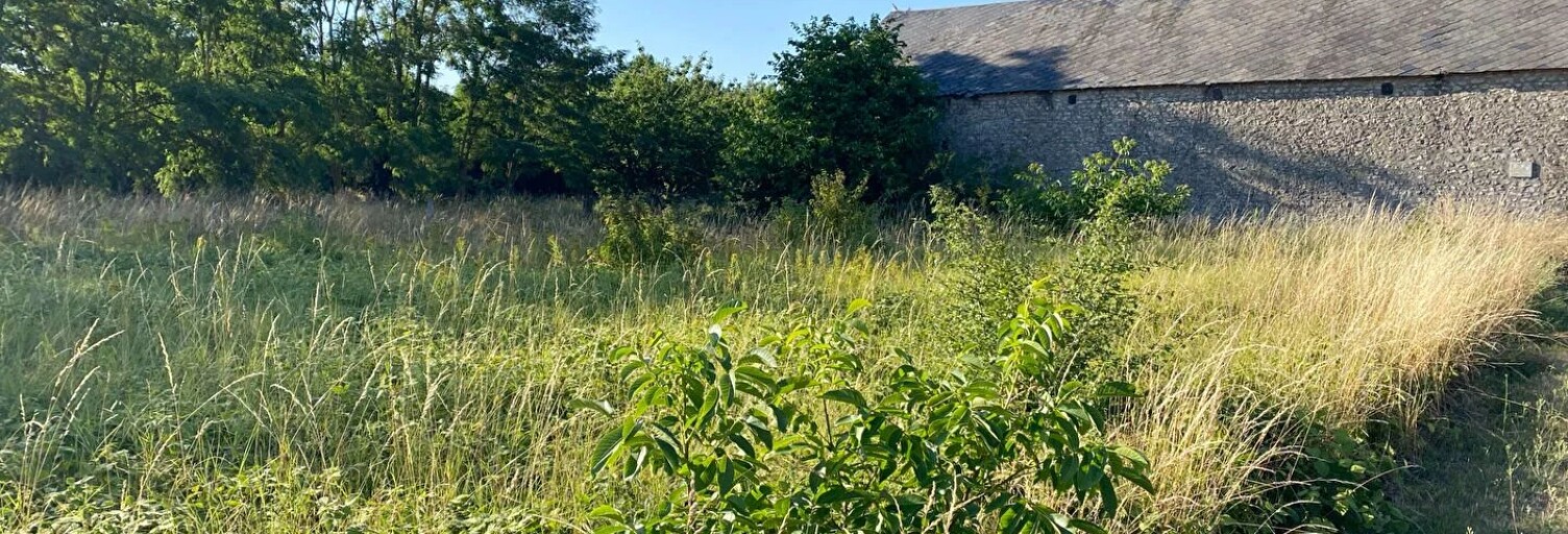 Terrain  701 m² à vendre à Beauce la Romaine (41240)