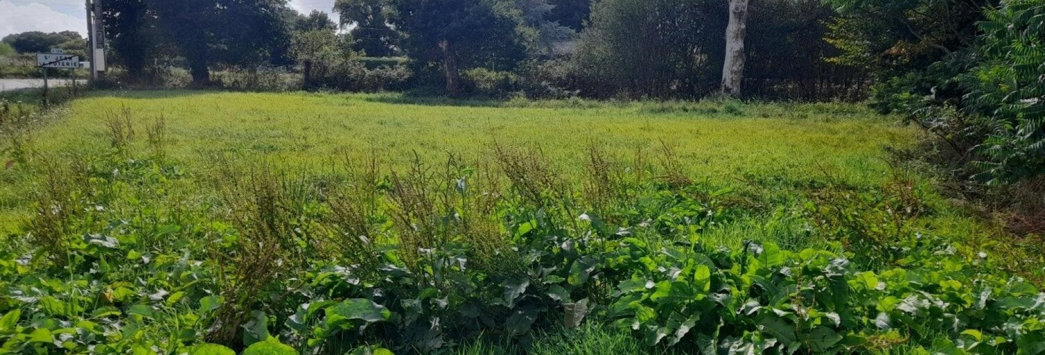 Terrain  608 m² à vendre à Saint-Jean-la-Poterie (56350)