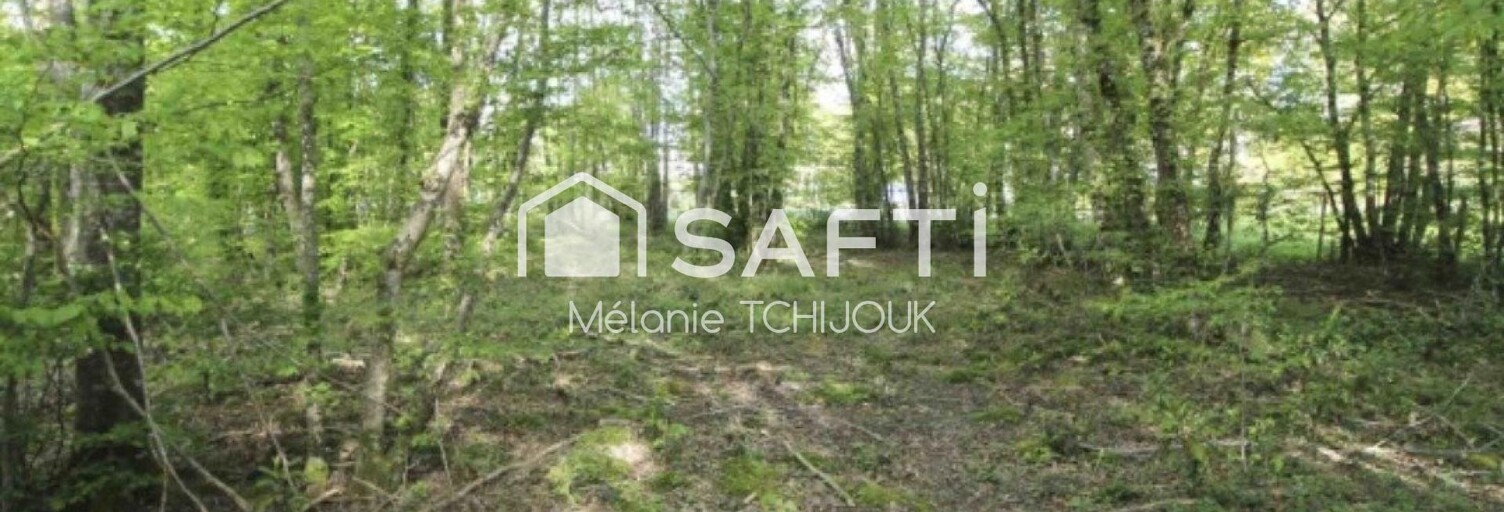 Terrain  2312 m² à vendre à Melleroy (45220)