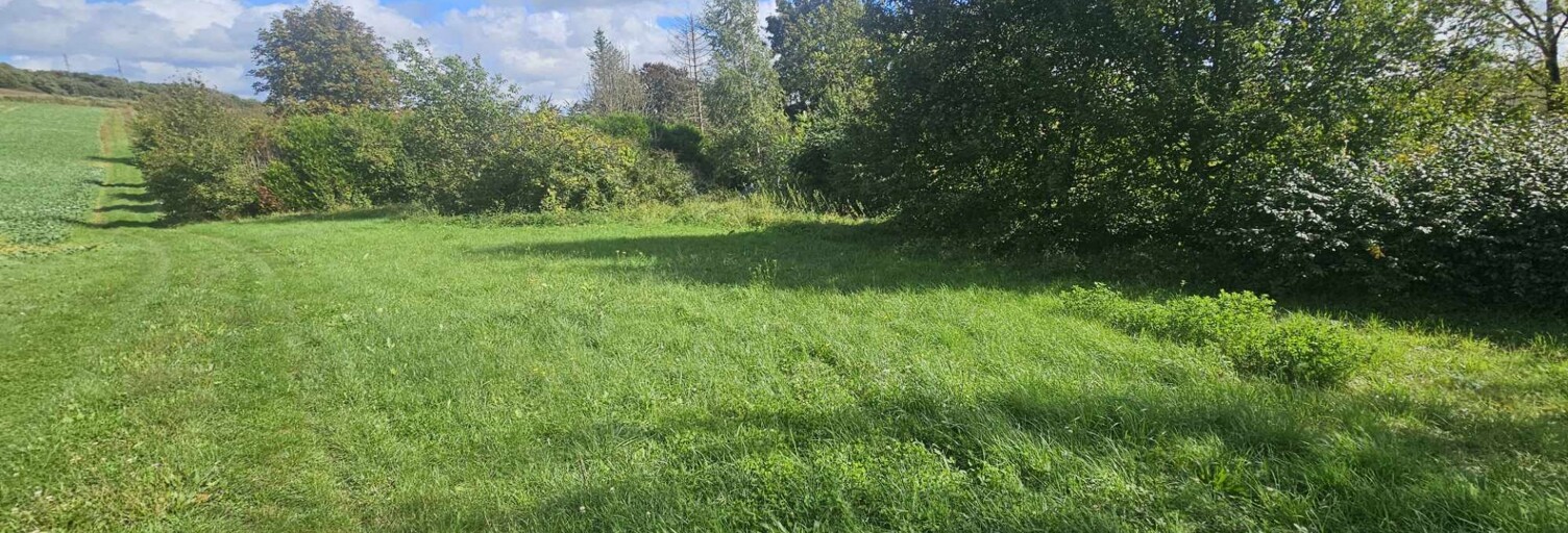 Terrain  1263 m² à vendre à La Celle-Saint-Cyr (89116)