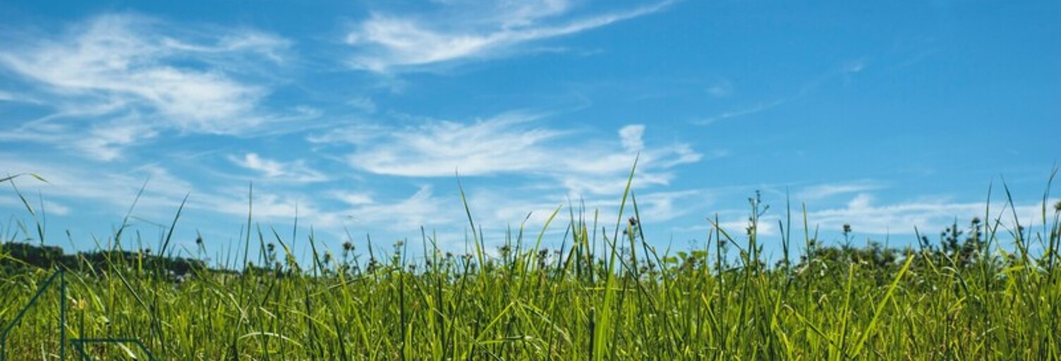 Terrain  7000 m² à vendre à Vannes (56000)