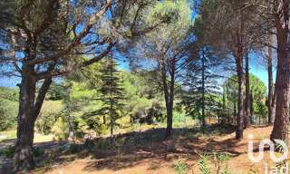 Terrain  1430 m² à vendre à Montesquieu-des-Albères (66740)