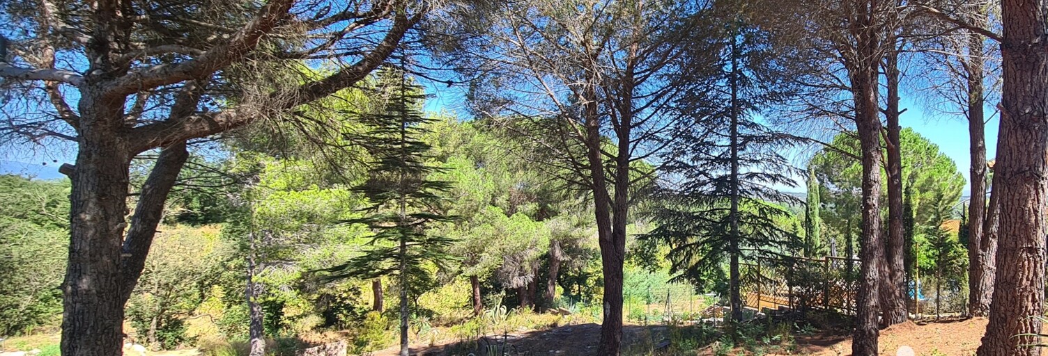 Terrain  1430 m² à vendre à Montesquieu-des-Albères (66740)