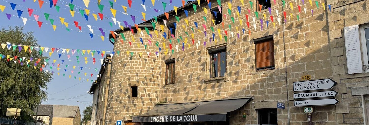 Commerce  200 m² à vendre à Nedde (87120)