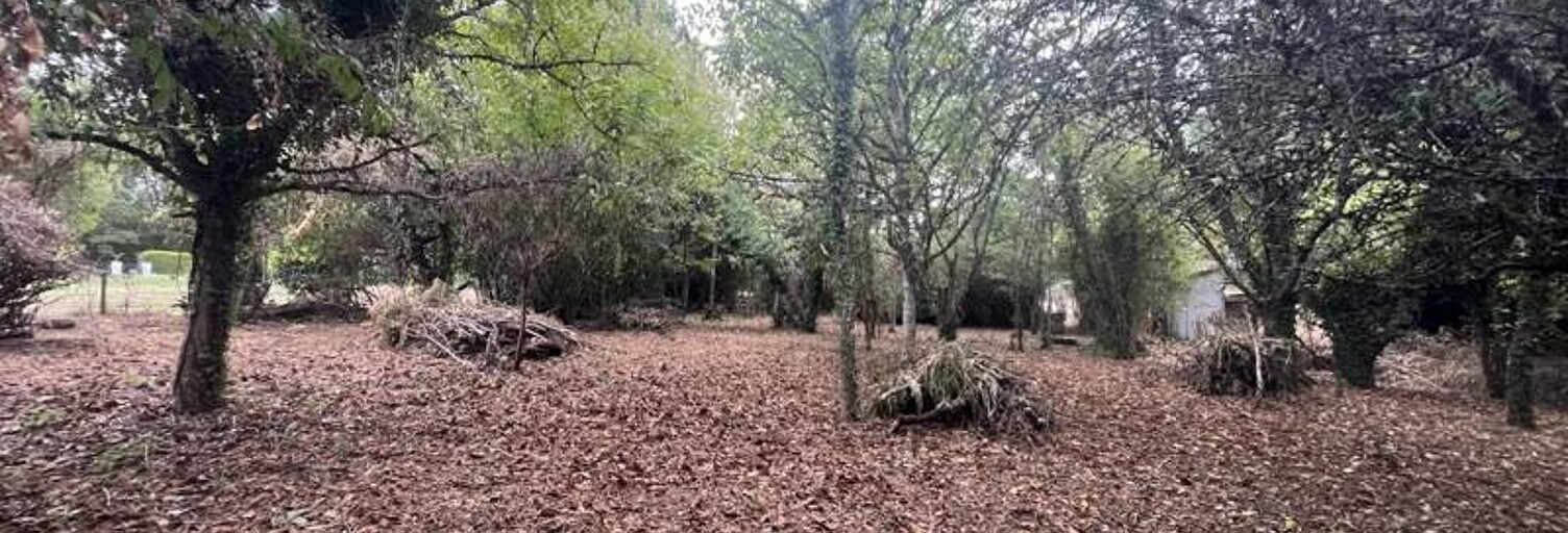 Terrain  1423 m² à vendre à Baladou (46600)