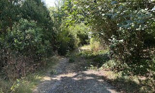 Maison 8 Pièces 250 m² à vendre à L'Isle-en-Dodon (31230)